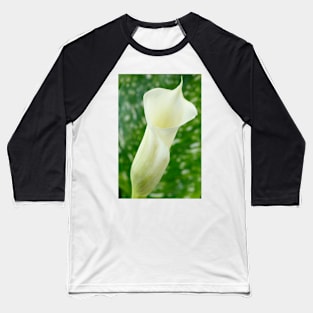 Zantedeschia  'Black Eyed Beauty'  Arum lily Baseball T-Shirt